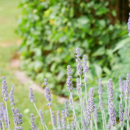 Veronika Heilbock * Sankt Peter